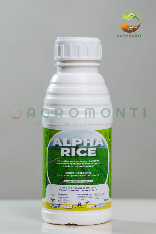 ALPHA RICE