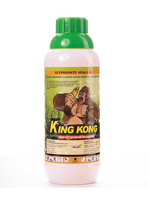 KING KONG