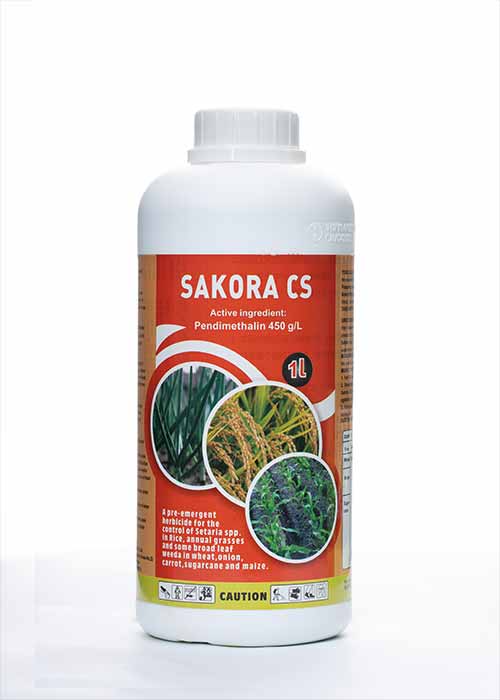 Sakora CS - Image 4