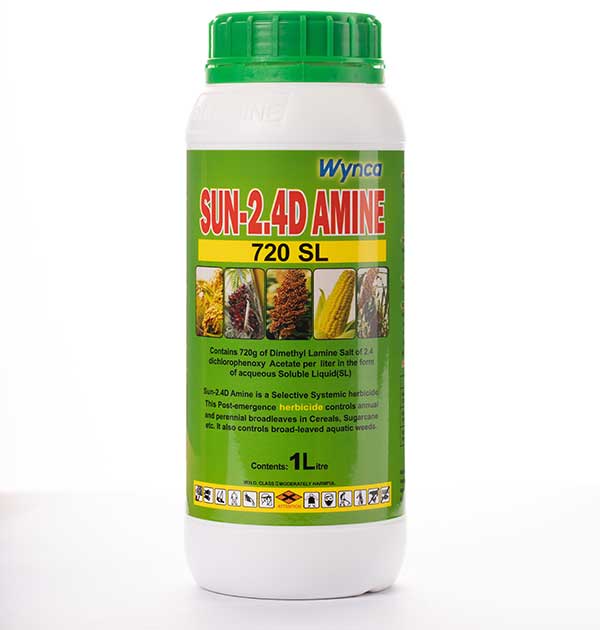 SUN-2.4D AMINE - Image 4