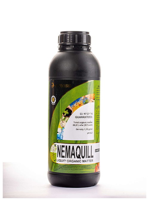 NEMAQUILl-scaled