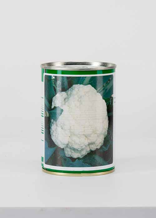 SEEDS-CAULIFLOWER-MAYA-F1