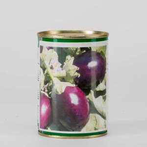 SEEDS-EGGPLANT-RAVAYA