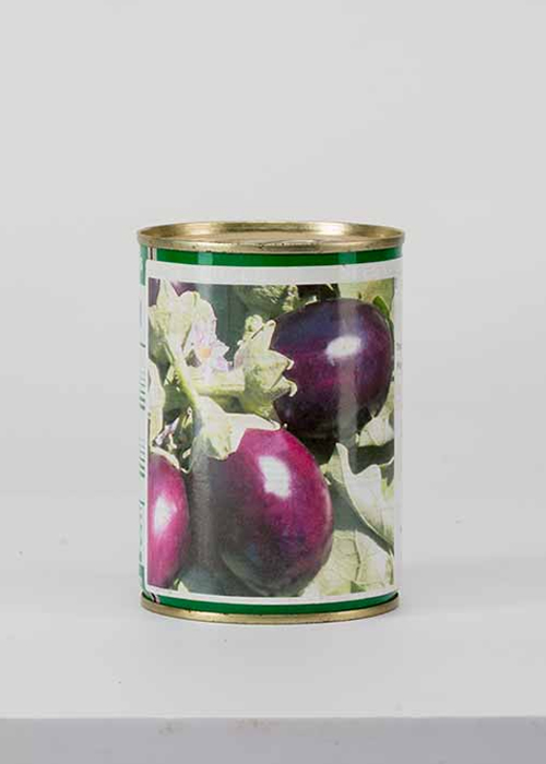 SEEDS-EGGPLANT-RAVAYA