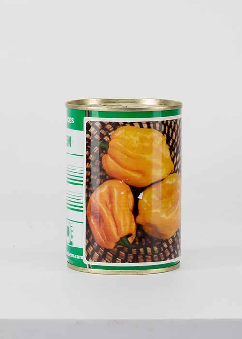 HOT PEPPER BIG SUN
