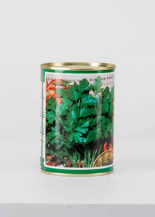 SEEDS-PARSLEY-ITALIAN-GIANT