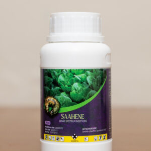 SAAHENE