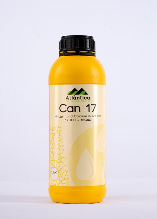CAN 17