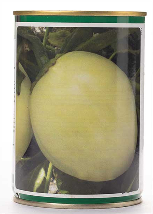 GARDEN EGG DJAMBA F1