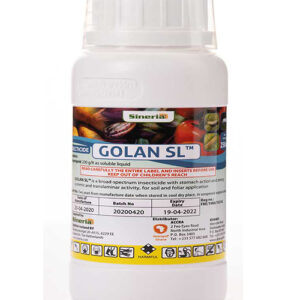 GOLAN